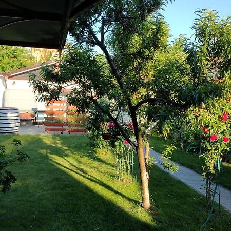 Appartamento Casa Ienciu Sibiu Esterno foto